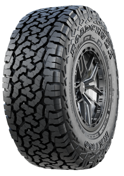 roadcruza ������ ����